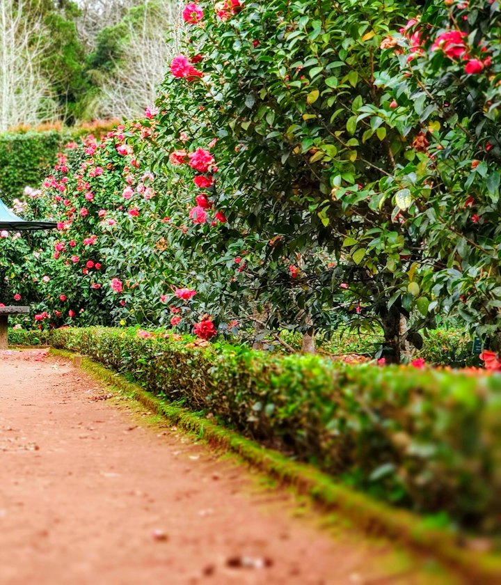 Our Standards — Evidence-Based Landscape Management